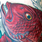 tattoo galleries/ -  - 44275