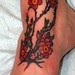 tattoo galleries/ -  - 44107