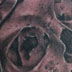 tattoo galleries/ - Skull w/ shroud