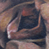 tattoo galleries/ - Fetal Skull