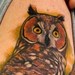 tattoo galleries/ - owl - 38253