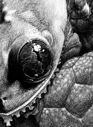 Tattoos - Jon Clue: AmphibiousInhabitant (detail) - 77547