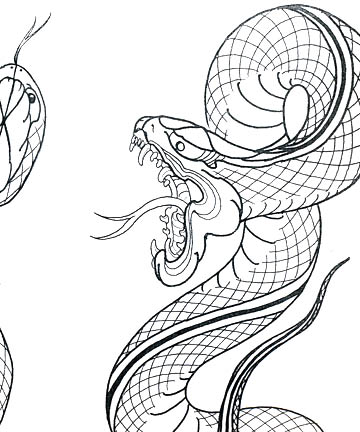 Get Outline Japanese Snake Tattoo Drawing Images