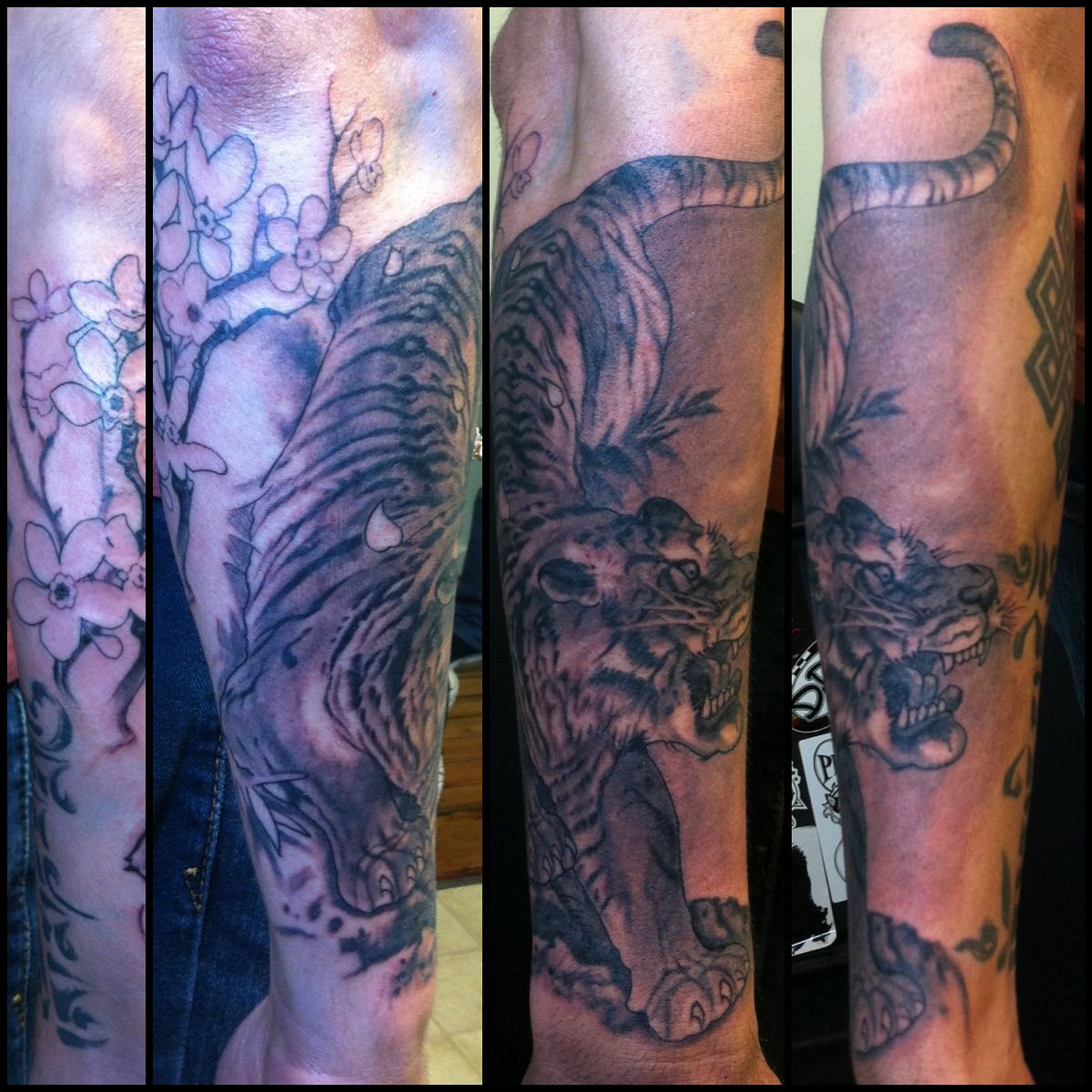 Tiger Tattoo Forearm