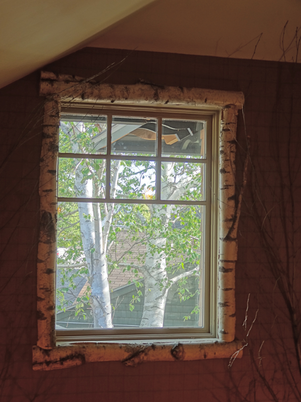 white birch log window trim