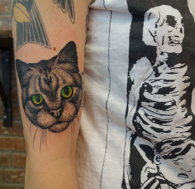 pussy.jpg