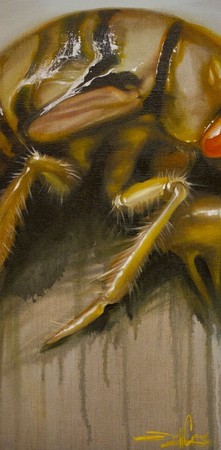 Jeff Gogue - Cicada II