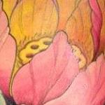 Tattoos - Lotus Flower - 74764