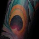 jeffgogueHOSTED - Peacock Sleeve