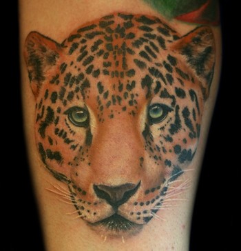Jesso - Brandon Leopard