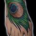 Tattoos - peacock feather - 73538