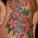 Tattoos - Sierras Plumerias - 33353
