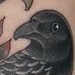 tattoo galleries/ - Crow and compass