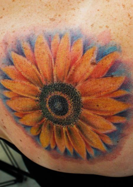 Steve Phipps - Sunflower