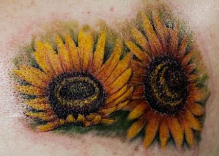 Steve Phipps - Sunflowers
