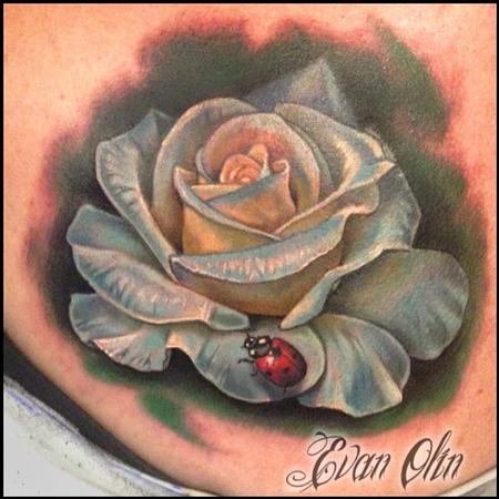 Evan Olin - Full color realistic rose and ladybug tattoo