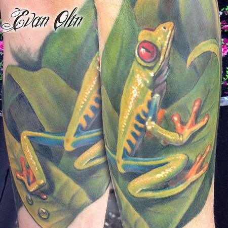 Evan Olin - Full color realistic frog tattoo