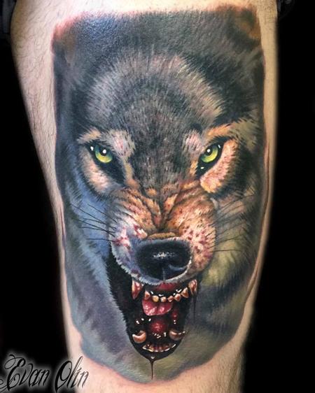 Evan Olin - Full color realistic wolf tattoo