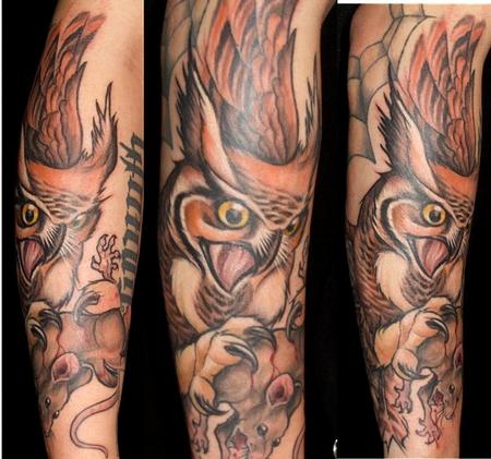 Mike Boissoneault - owl on forearm