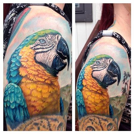 Evan Olin - Full color realistic parrot tattoo