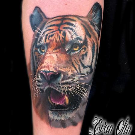 Evan Olin - Realistic color tiger tattoo
