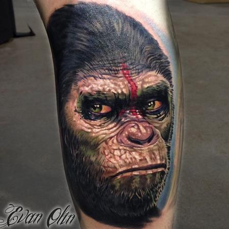 Evan Olin - Full color realistic portrait of Caesar from Dawn of the Planet of the Apes  tattoo