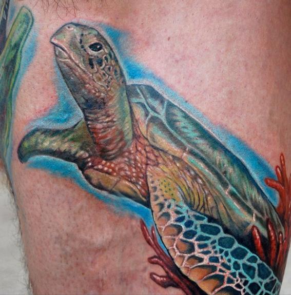 Realistic turtle tattoo