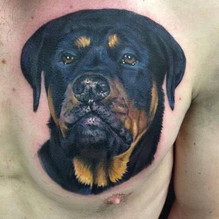 Evan Olin - Full color realistic rottweiler dog tattoo