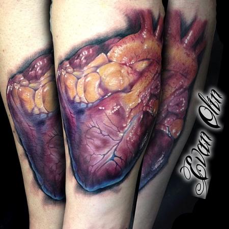 Evan Olin - Full color realistic anatomical heart tattoo