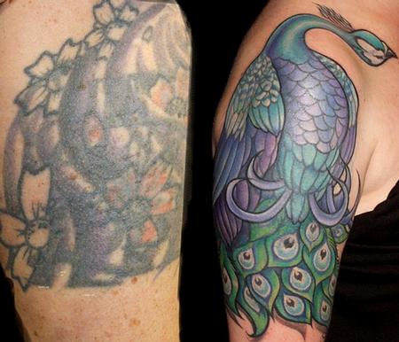 Mike Boissoneault - peacock cover up
