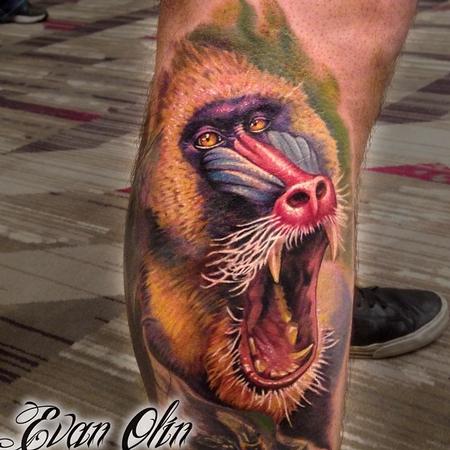 Evan Olin - Full color realistic Mandril Baboon tattoo