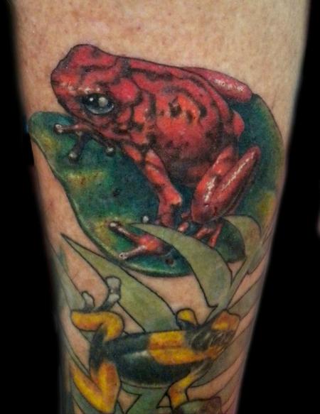 Shane Baker - Poison Dart Frogs