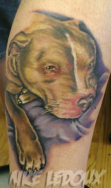 Mike Ledoux - Dog Portrait