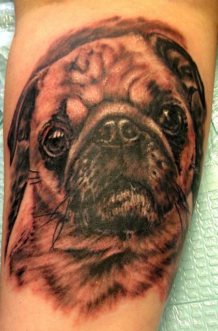 Mike Ledoux - Pug!!!