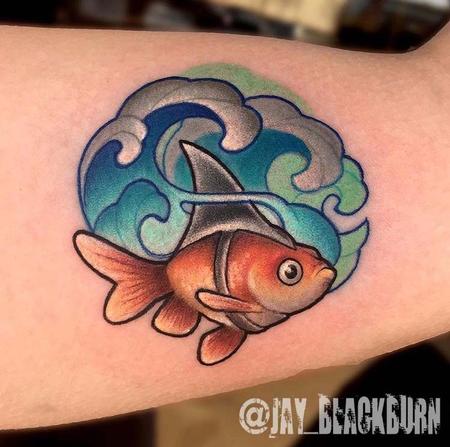 Jay Blackburn - New School Goldfish wearing sharkfin