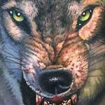 Tattoos - Full color realistic wolf tattoo - 113550