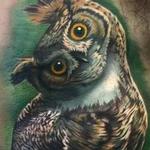 Tattoos - Color realistic owl tattoo - 116978