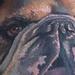 Tattoos - Full color realistic English Bulldog tattoo - 85613