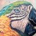 Tattoos - Full color realistic parrot tattoo - 85610