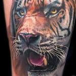 Tattoos - Realistic color tiger tattoo - 125908