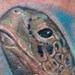 Tattoos - Realistic turtle tattoo - 54308