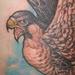 Tattoos - peregrine falcon - 76332