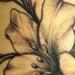 Tattoos - lillies. ribs. - 65420