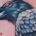 Tattoos - Realistic crow tattoo - 54314