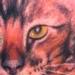 Tattoos - cat portrait. back - 65438