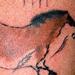 Tattoos - lascaux cave horse. arm - 65432