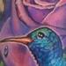 Tattoos - Full color rose and hummingbird tattoo - 64836