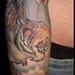Tattoos - tiger\buddha sleeve - 76237