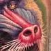 Tattoos - Full color realistic Mandril Baboon tattoo - 86849