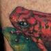 Tattoos - Poison Dart Frogs - 65802